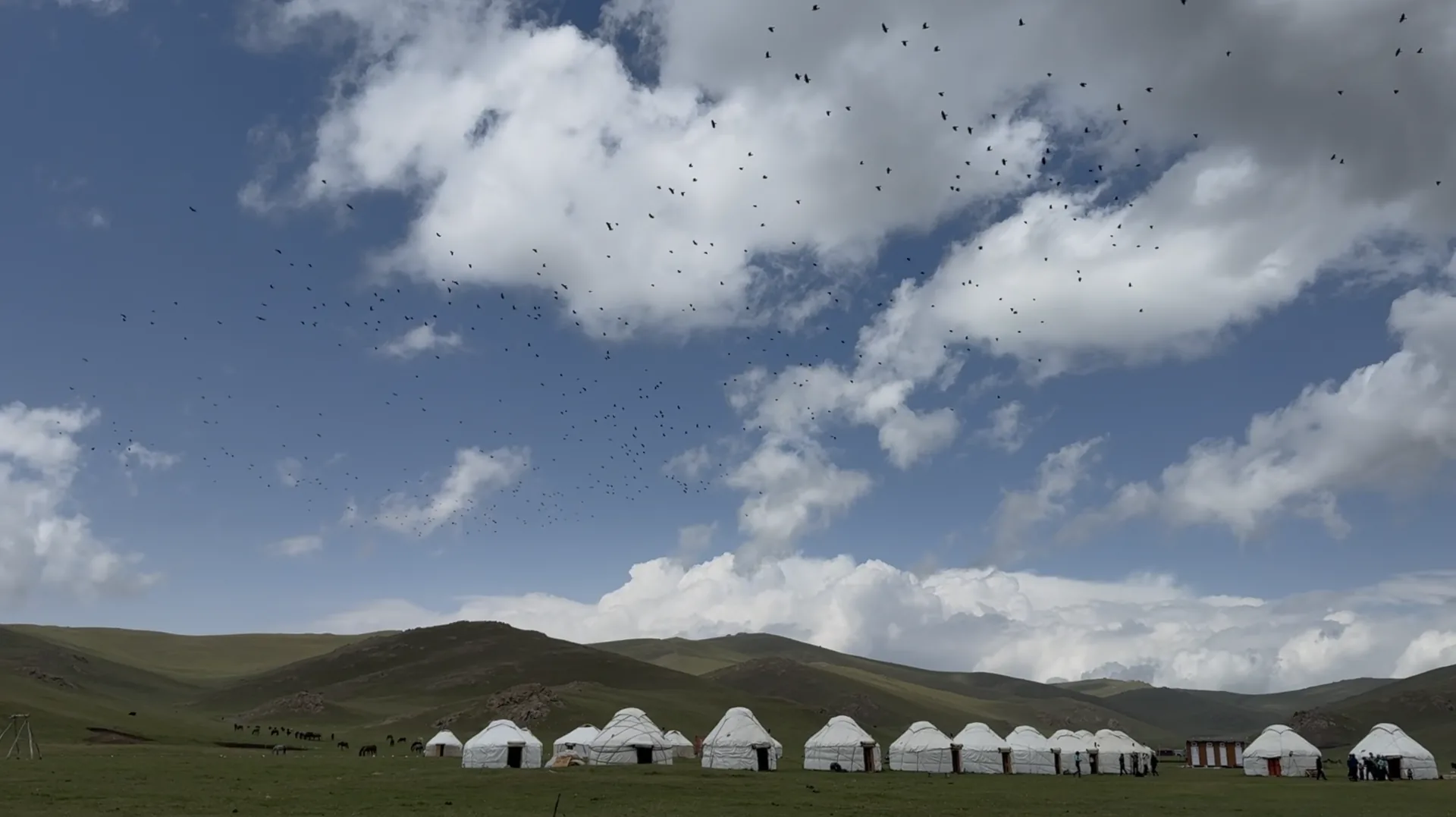 White yurts beneath a huge sky on the Kyrgyz steppe