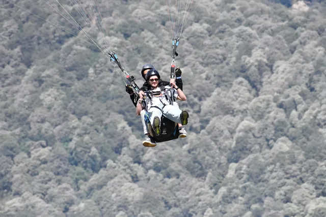 Monil paragliding over a forest